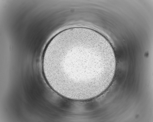 X0000103271514200809191730