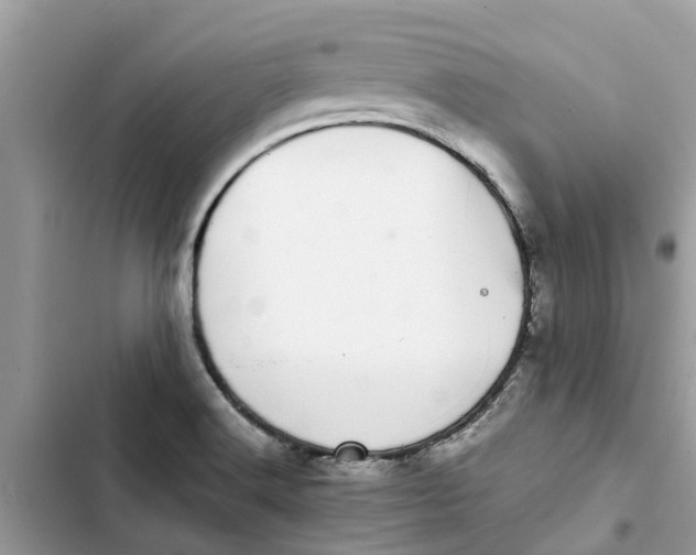 X0000103271516200809191730
