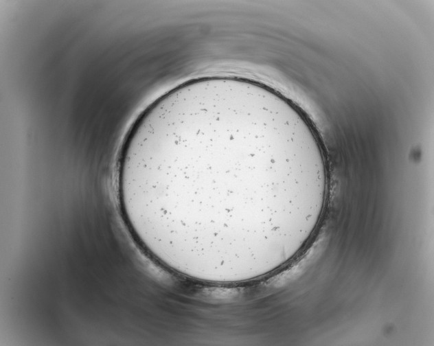 X0000103271517200809191730