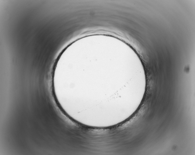 X0000103271518200809191730