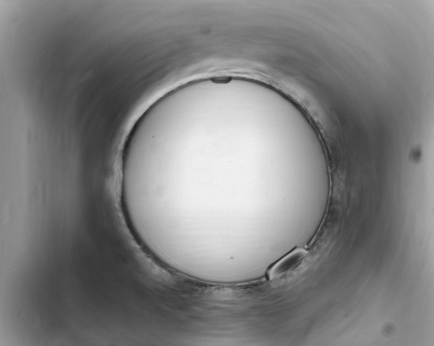 X0000103271520200809191730