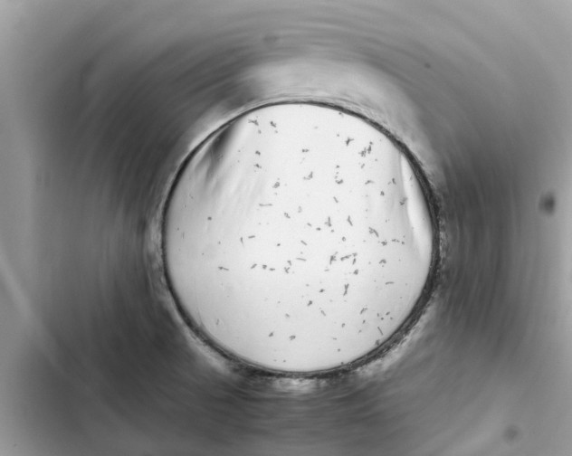X0000103271521200809191730