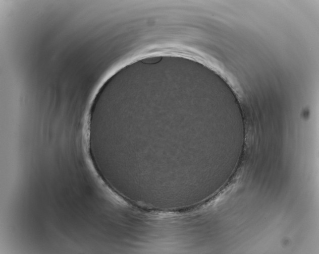 X0000103271522200809191730