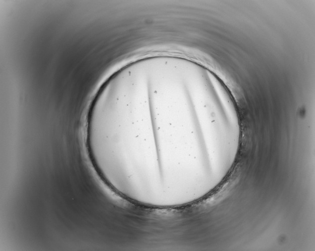 X0000103271523200809191730