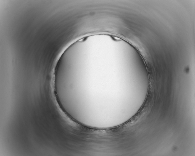 X0000103271524200809191730