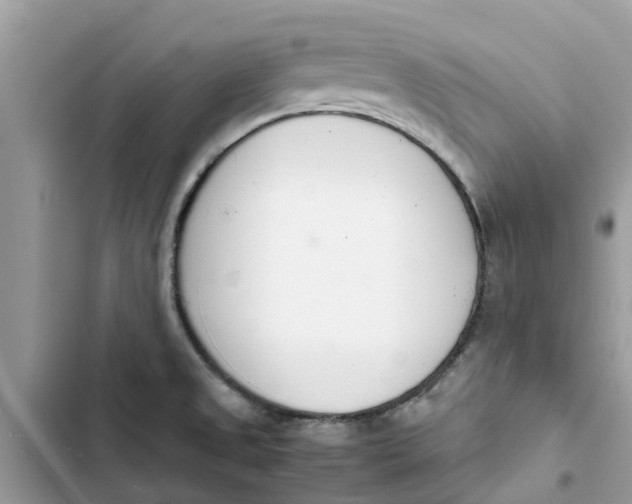 X0000103271525200809191730