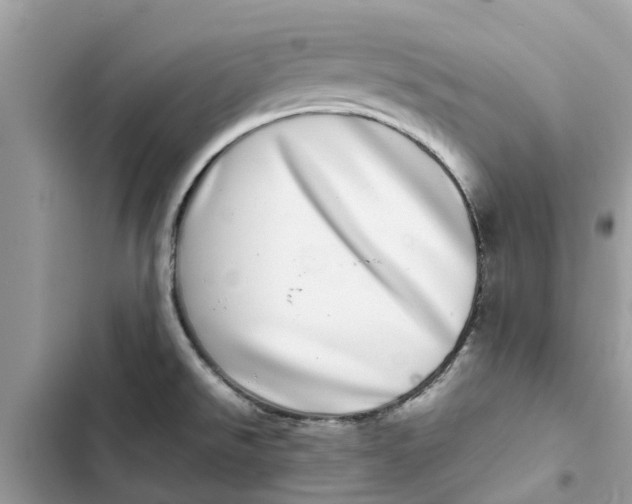 X0000103271526200809191730