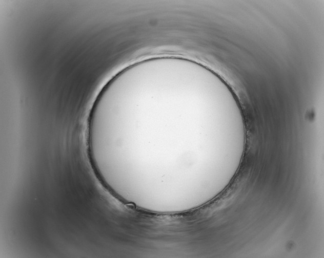 X0000103271527200809191730