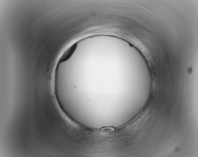 X0000103271528200809191730