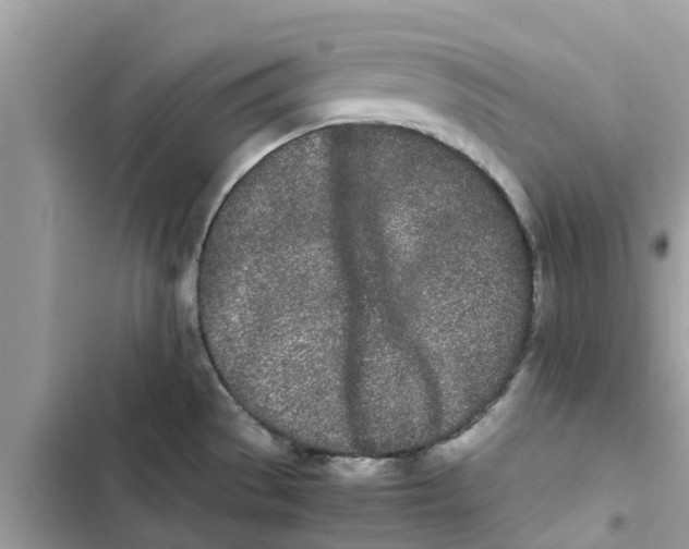 X0000103271529200809191730