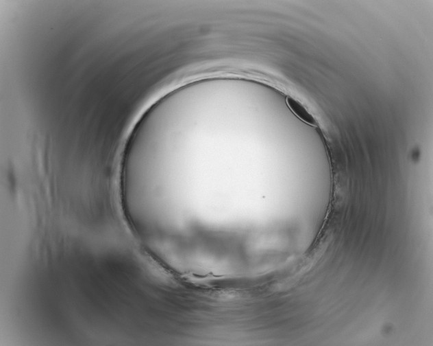 X0000103271530200809191730