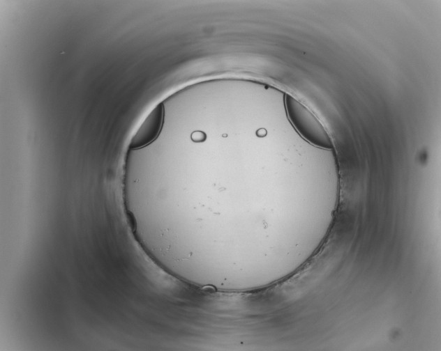X0000103271532200809191730