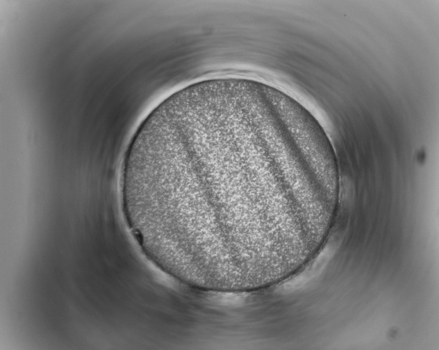 X0000103271533200809191730