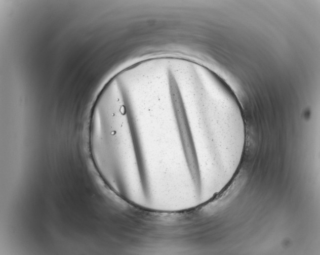 X0000103271534200809191730
