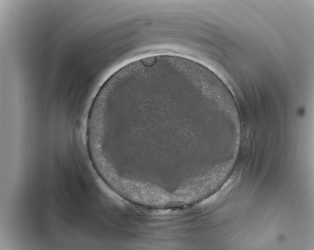 X0000103271535200809191730