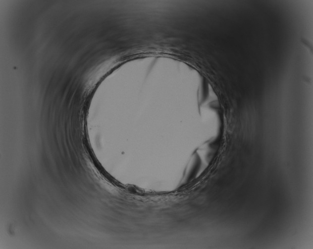 X0000103270005200809261212