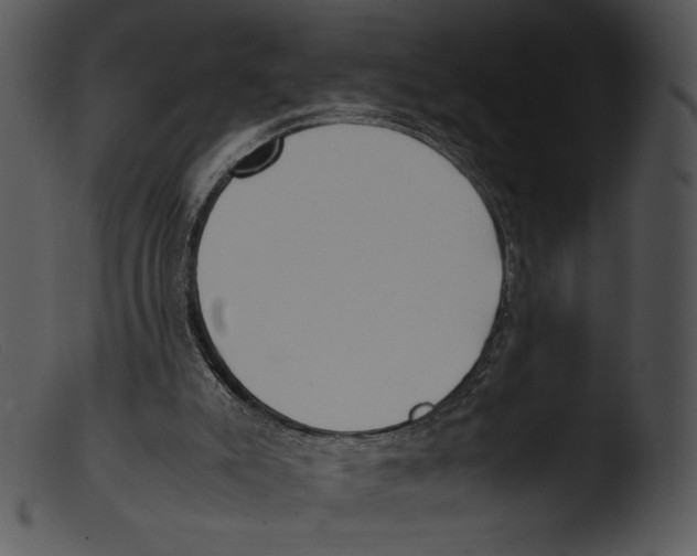 X0000103270007200809261212