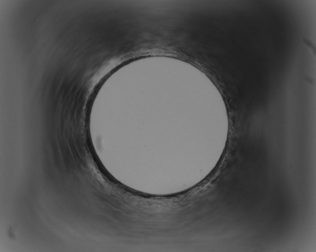 X0000103270008200809261212