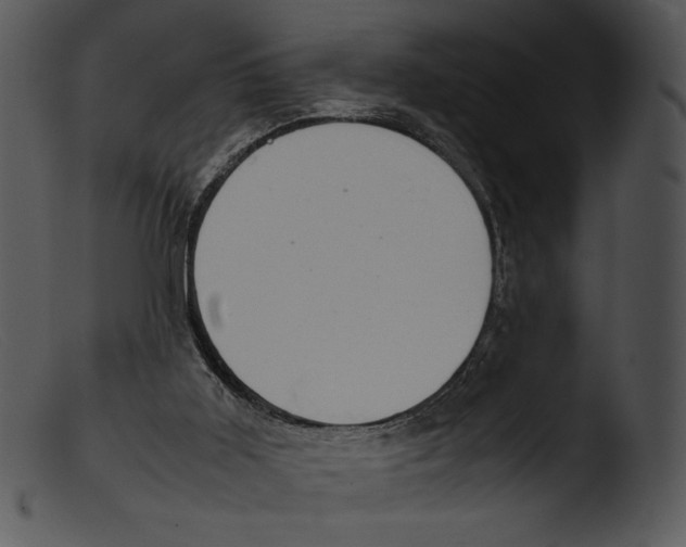 X0000103270011200809261212