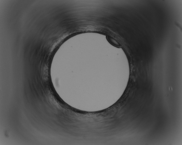 X0000103270012200809261212