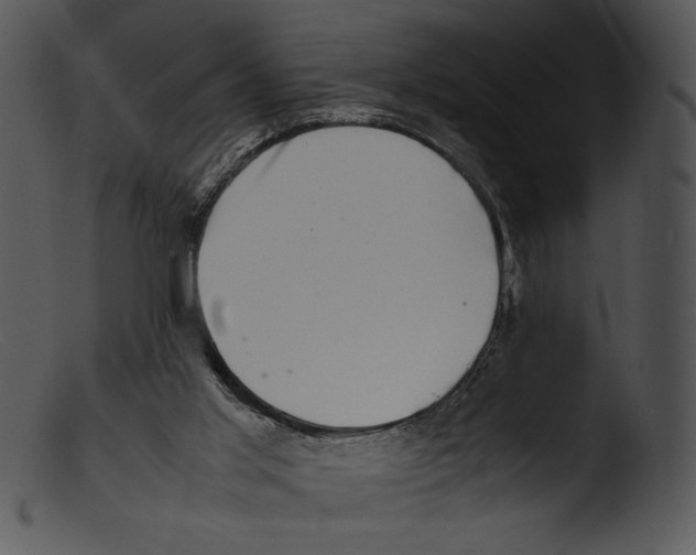 X0000103270013200809261212