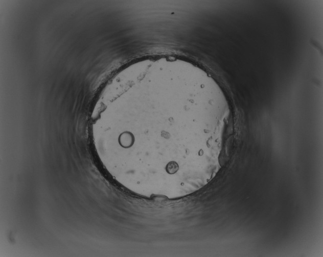 X0000103270015200809261212