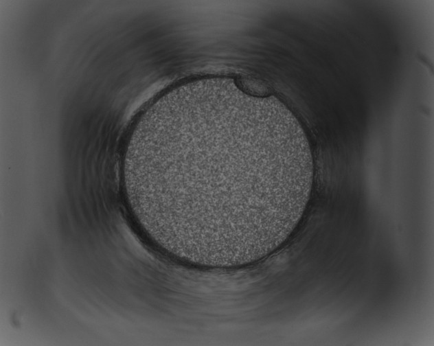 X0000103270016200809261212