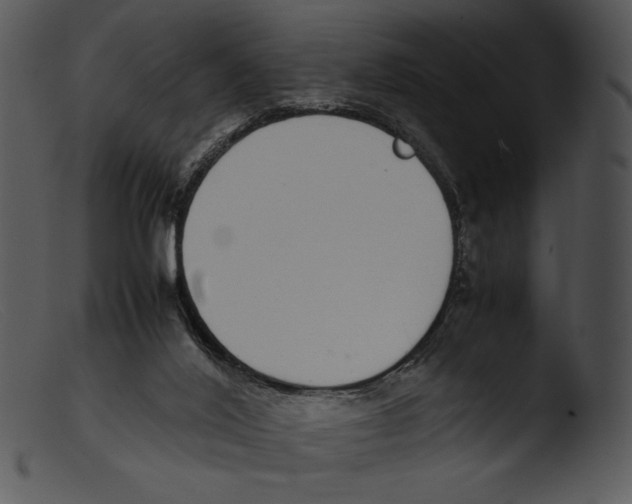 X0000103270020200809261212