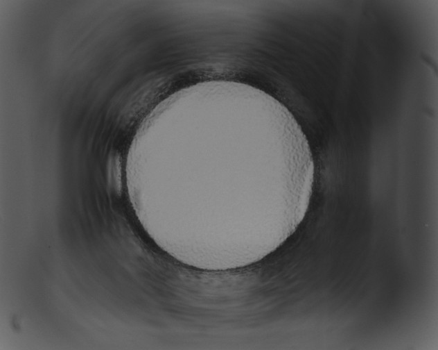 X0000103270022200809261212