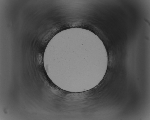 X0000103270025200809261212