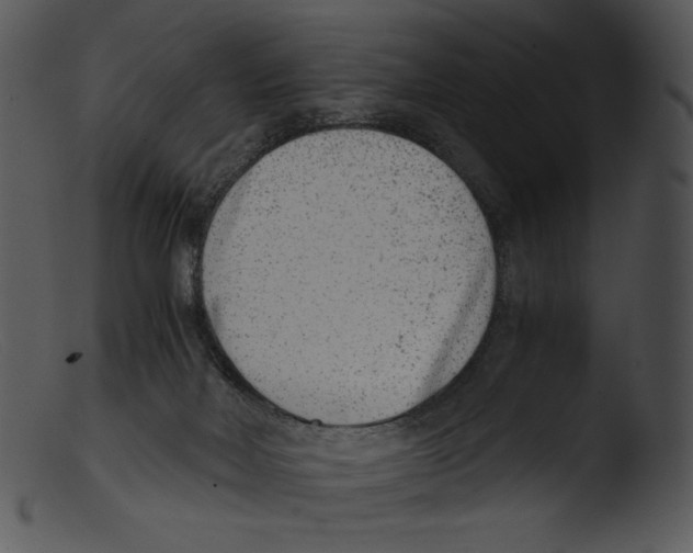 X0000103270026200809261212