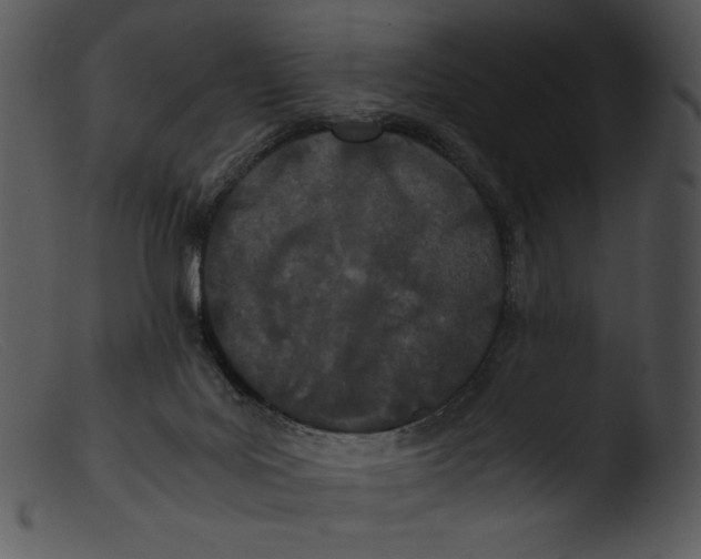 X0000103270027200809261212