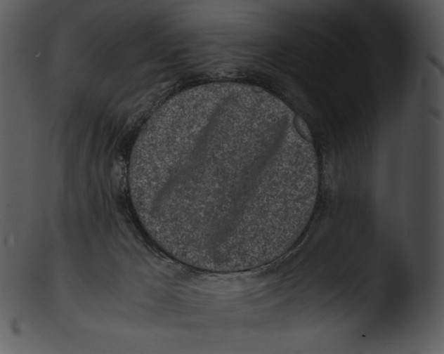 X0000103270029200809261212