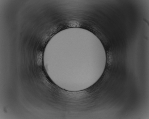 X0000103270030200809261212