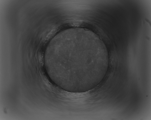 X0000103270031200809261212