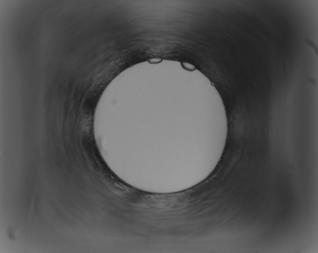 X0000103270033200809261212
