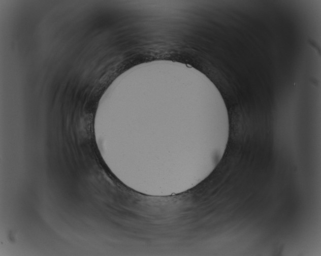 X0000103270034200809261212