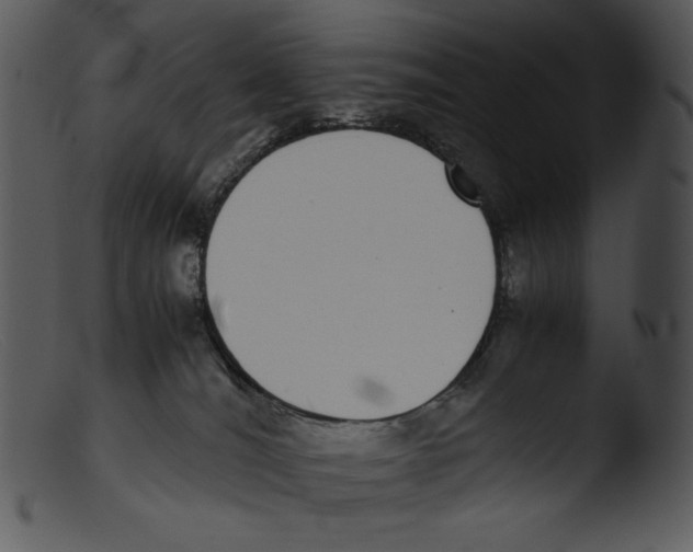 X0000103270036200809261212
