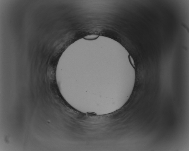 X0000103270037200809261212