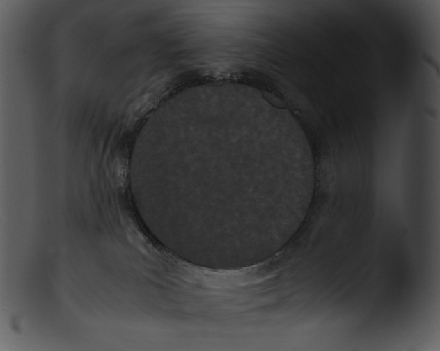 X0000103270039200809261212