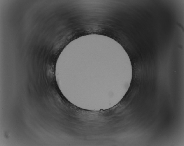 X0000103270040200809261212