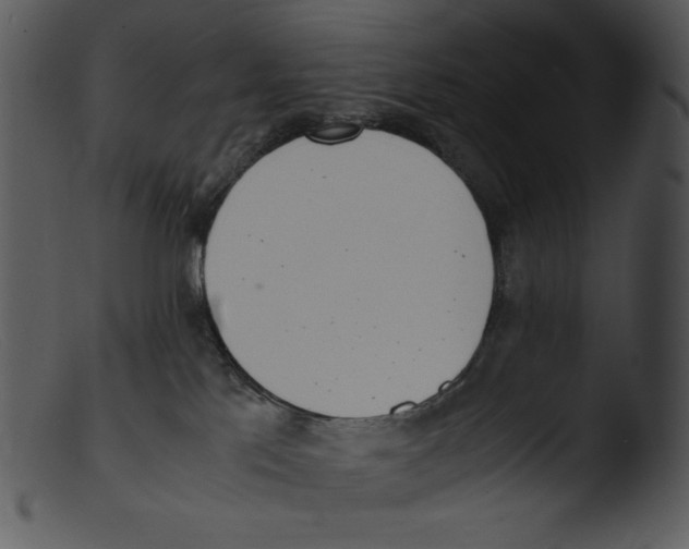 X0000103270041200809261212