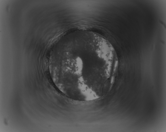 X0000103270043200809261212