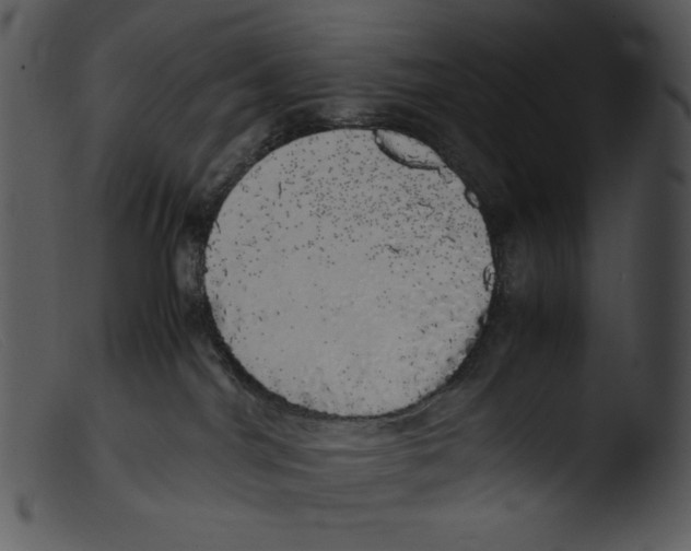 X0000103270044200809261212