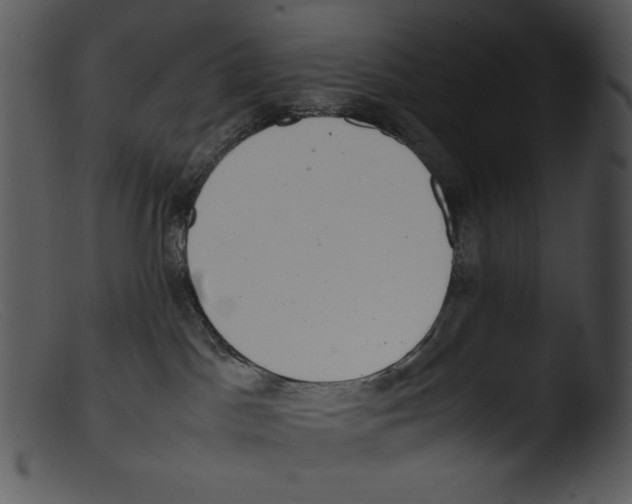 X0000103270045200809261212