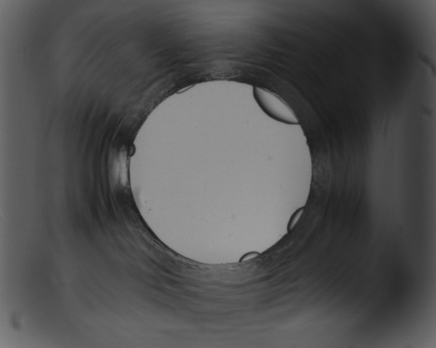 X0000103270046200809261212