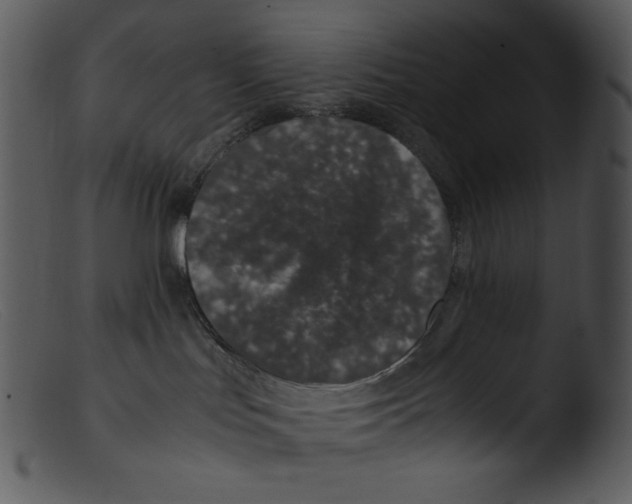 X0000103270047200809261212