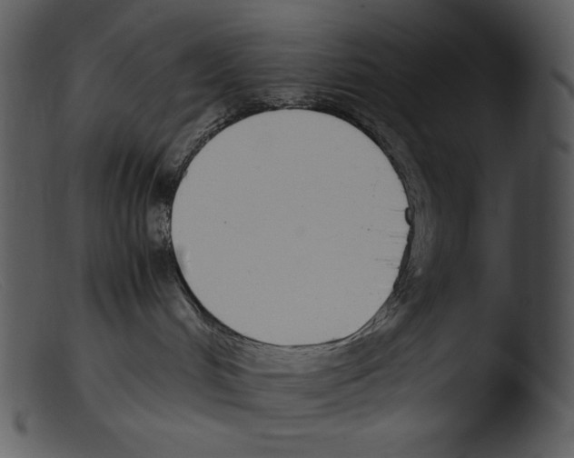 X0000103270048200809261212