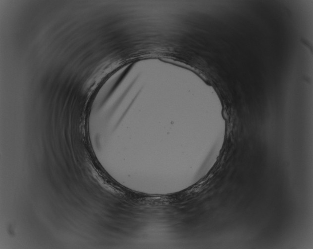 X0000103270050200809261211
