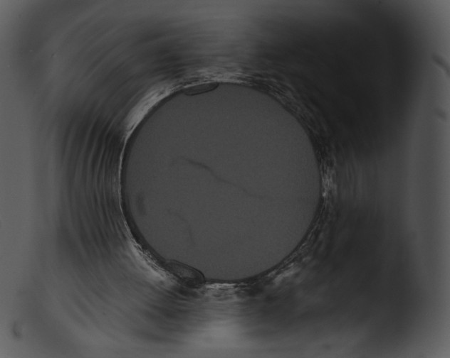 X0000103270052200809261211
